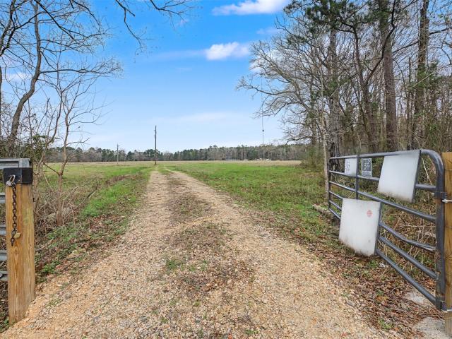 Land for sale in San Augustine, Texas