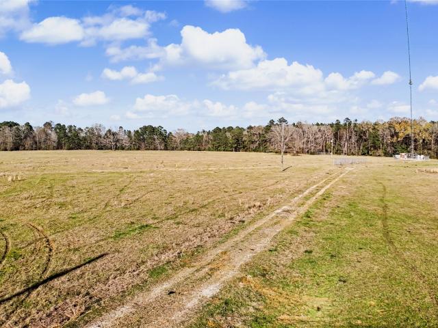 Land for sale in San Augustine, Texas