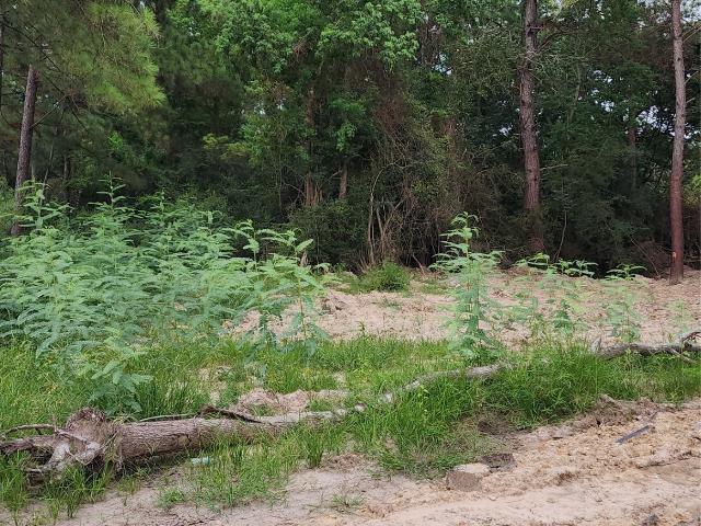 Land for sale in Harris, Texas
