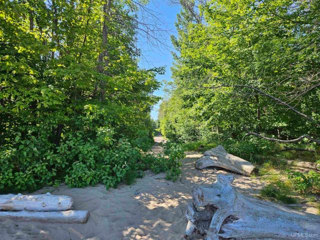 Land for sale in Michigan
