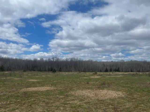 Land for sale in Michigan