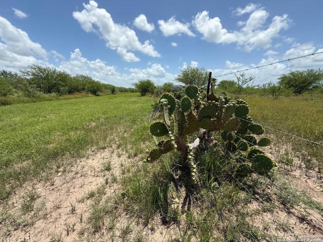 Land for sale in Kenedy, Texas