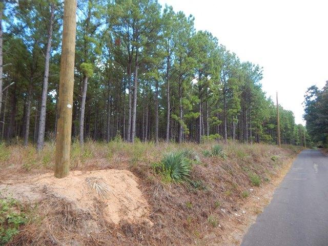 Land for sale in Big Sandy, Upshur County