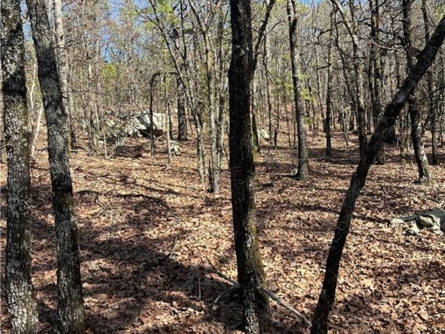 Land for sale in Red Oak, Oklahoma