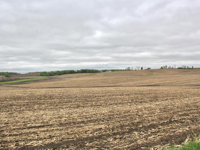 Land for sale in Rice, Minnesota