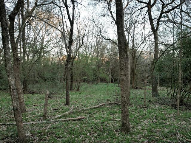 Land for sale in Bryan, Texas