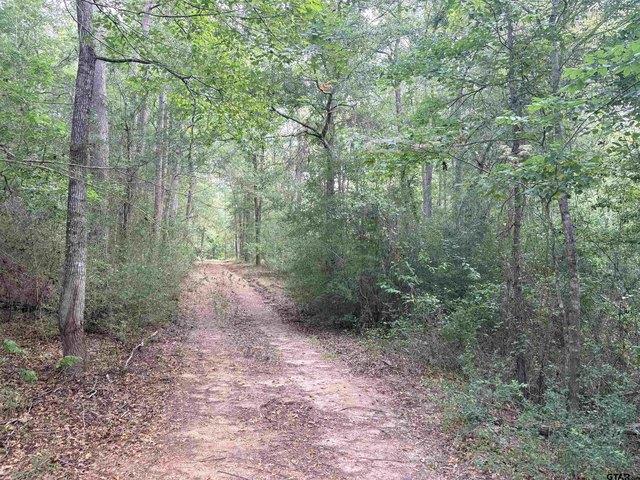 Land for sale in Rusk, Texas