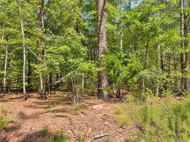 Land for sale in Norman, Montgomery County
