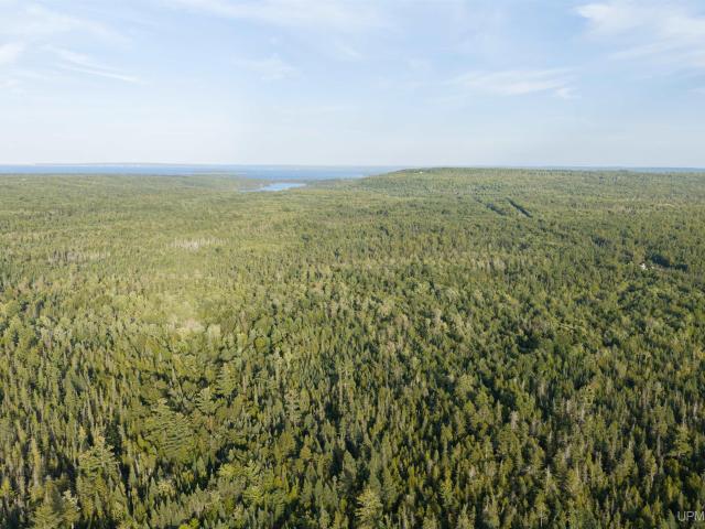 Land for sale in Deerton, Michigan