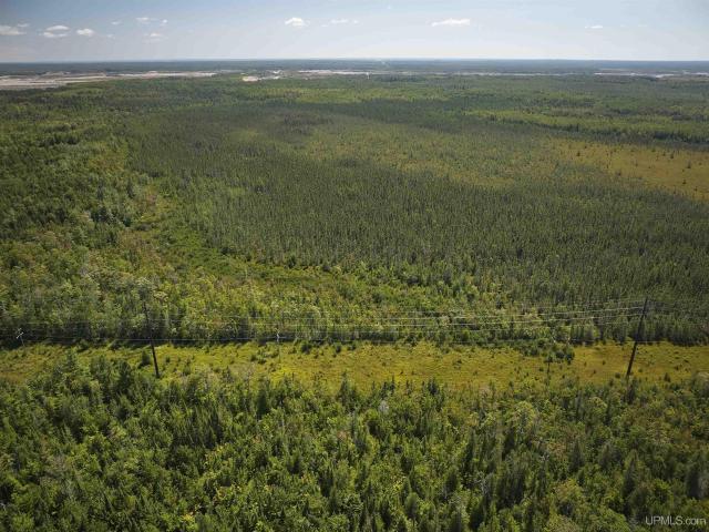 Land for sale in Gulliver, Michigan