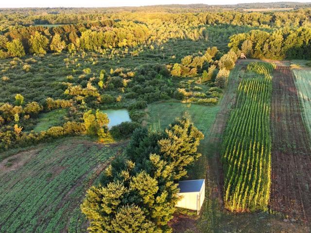 Land for sale in Morrison, Minnesota