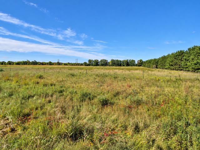 Land for sale in Bridgeman, Pillager