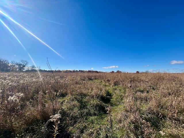 Land for sale in Amery, Wisconsin