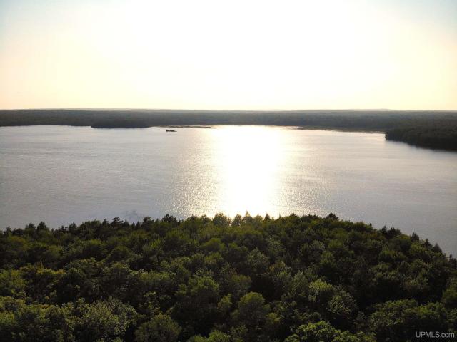 Land for sale in Michigan