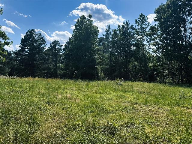 Land for sale in Henderson, Texas