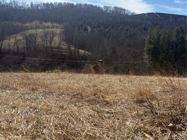 Land for sale in Alleghany, North Carolina