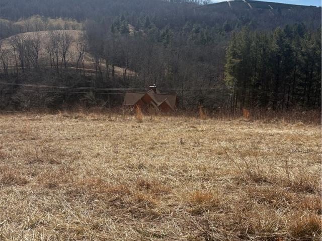 Land for sale in Alleghany, North Carolina