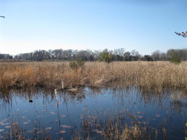 Land for sale in Texas
