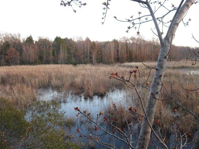 Land for sale in Texas