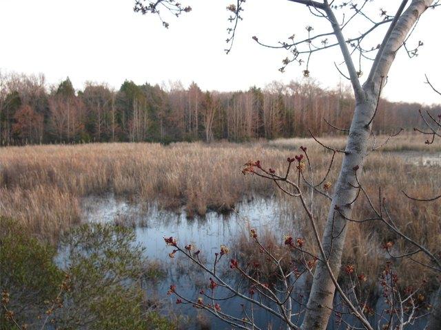 Land for sale in Texas