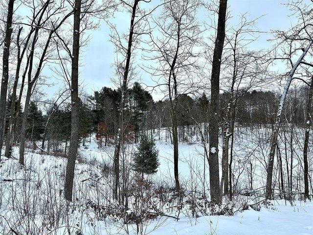 Land for sale in Milltown, Wisconsin