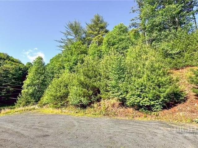 Land for sale in Jefferson, North Carolina