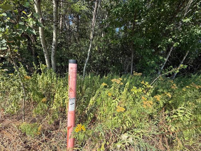 Land for sale in Brainerd, Minnesota