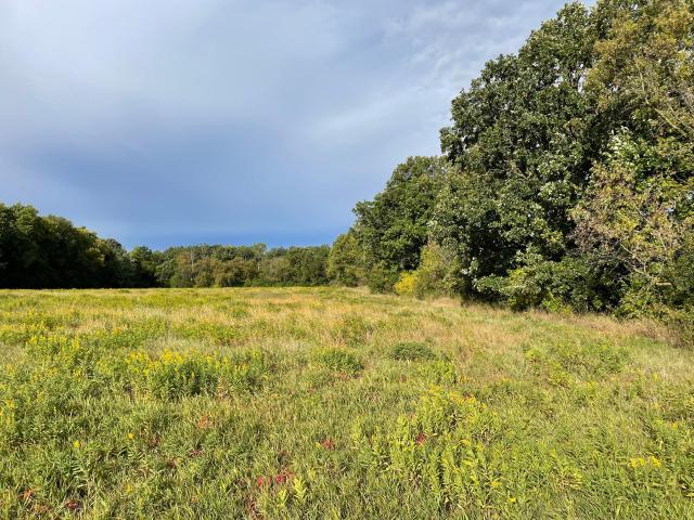 Land for sale in Foreston, Mille Lacs County