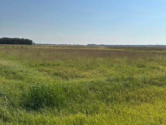 Land for sale in Pennington, Minnesota