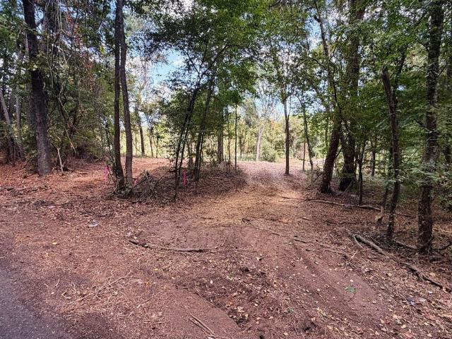 Land for sale in Henderson, Texas