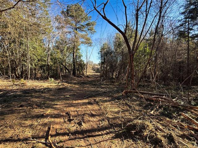 Land for sale in Henderson, Texas