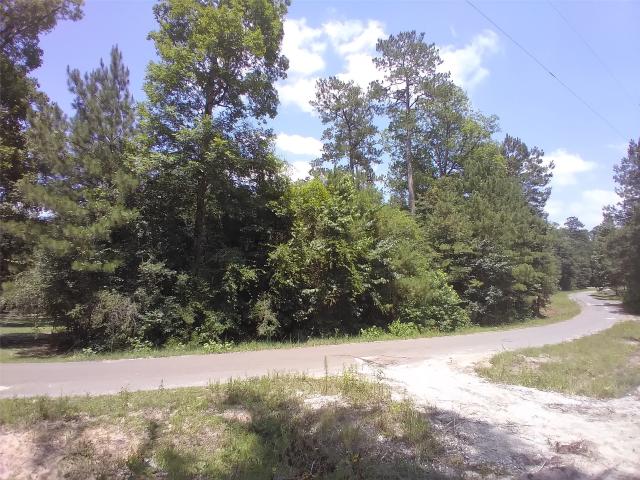 Land for sale in Ivanhoe, Texas