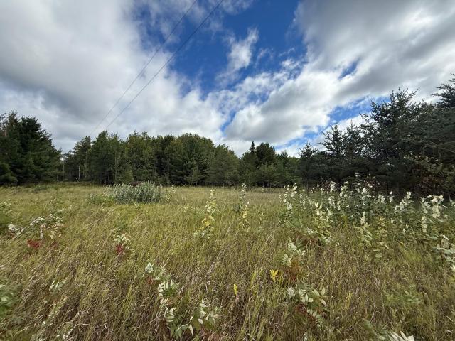 Land for sale in Bagley, Minnesota