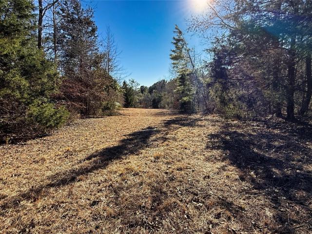 Land for sale in Henderson, Texas