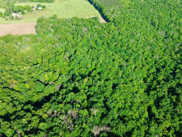 Land for sale in Wisconsin