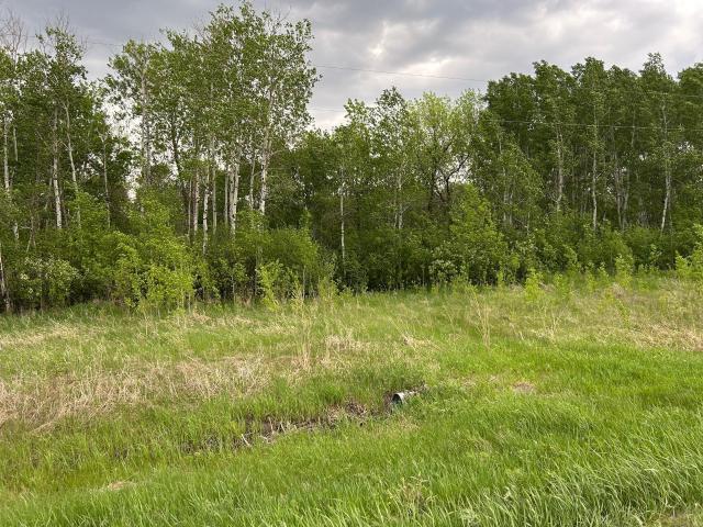 Land for sale in Pennington, Minnesota