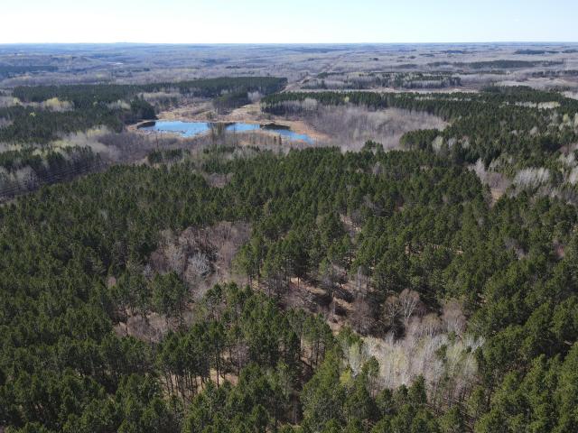 Land for sale in Minnesota