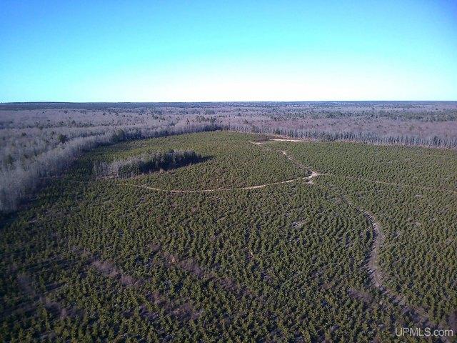 Land for sale in Au Train, Michigan
