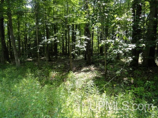 Land for sale in Au Train, Michigan