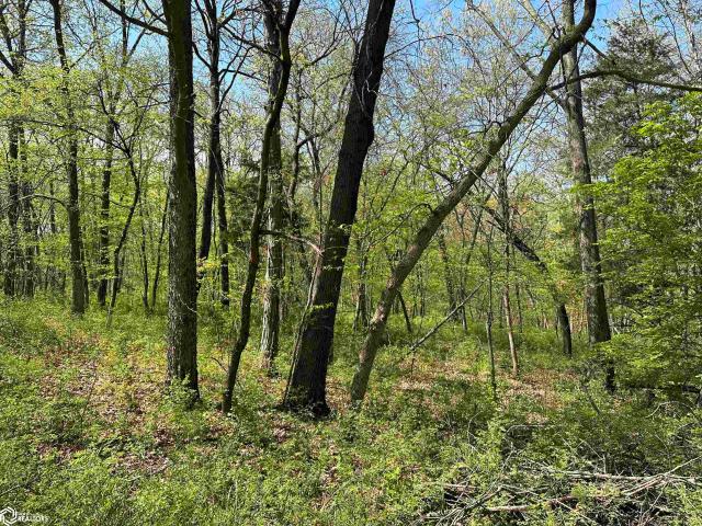 Farm for sale in Birmingham, Iowa