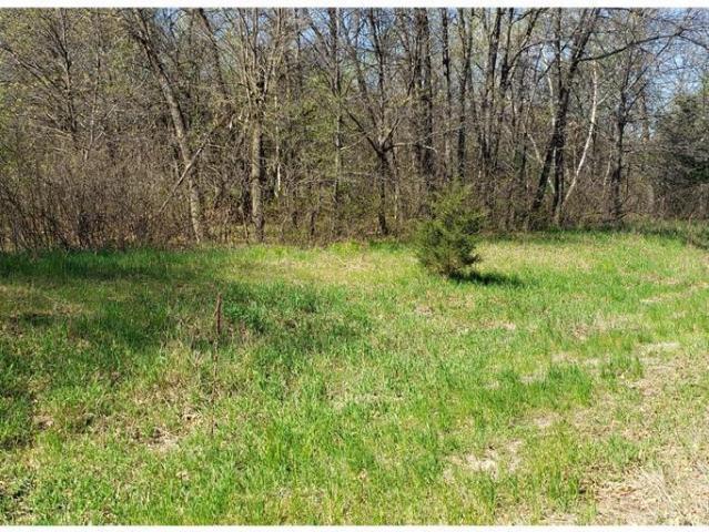Land for sale in Big Lake