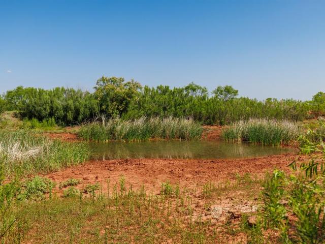Land for sale in Fisher, Texas