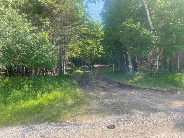 Land for sale in Garden, Michigan