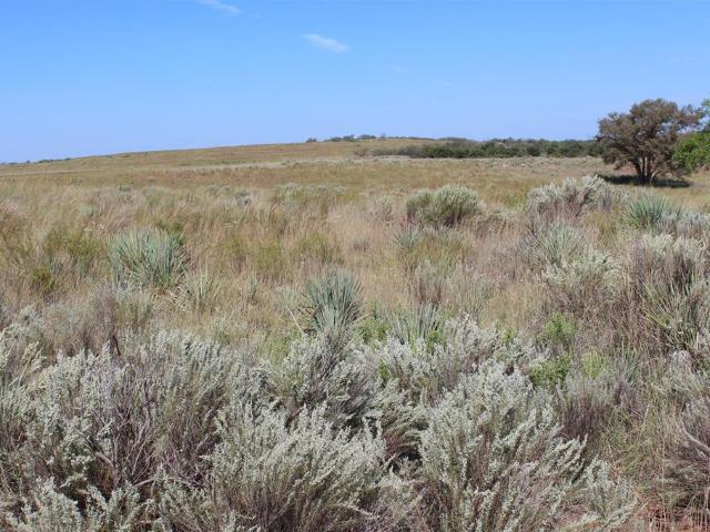 Land for sale in Hall, Texas