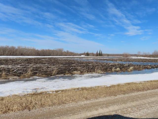 Land for sale in Pennington, Minnesota