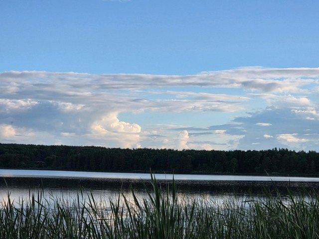 Land for sale in Bagley, Minnesota