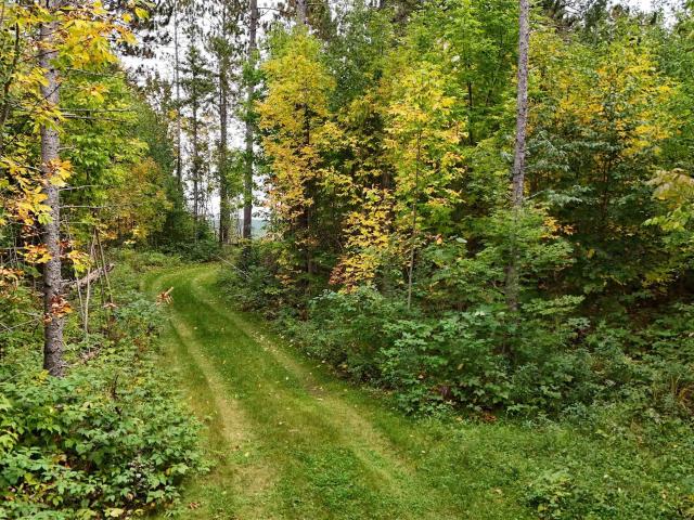 Land for sale in Michigan