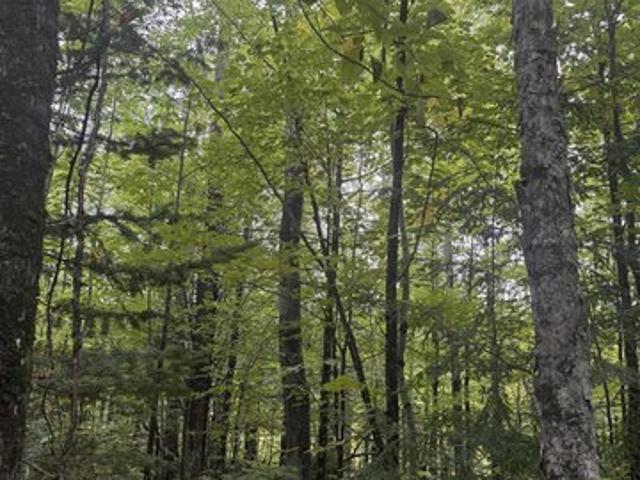 Land for sale in Ontonagon, Michigan