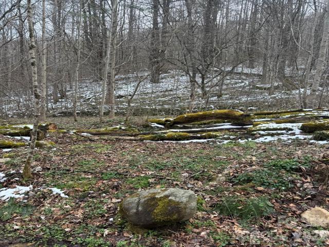 Land for sale in Marshall, North Carolina