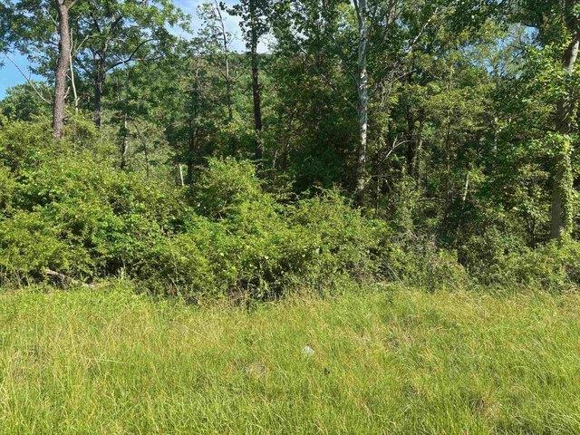 Land for sale in Virginia